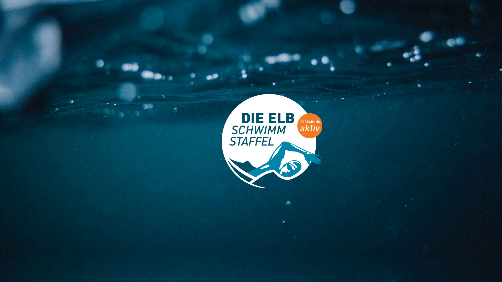 Schwimmen und Forschen die Elbe entlang