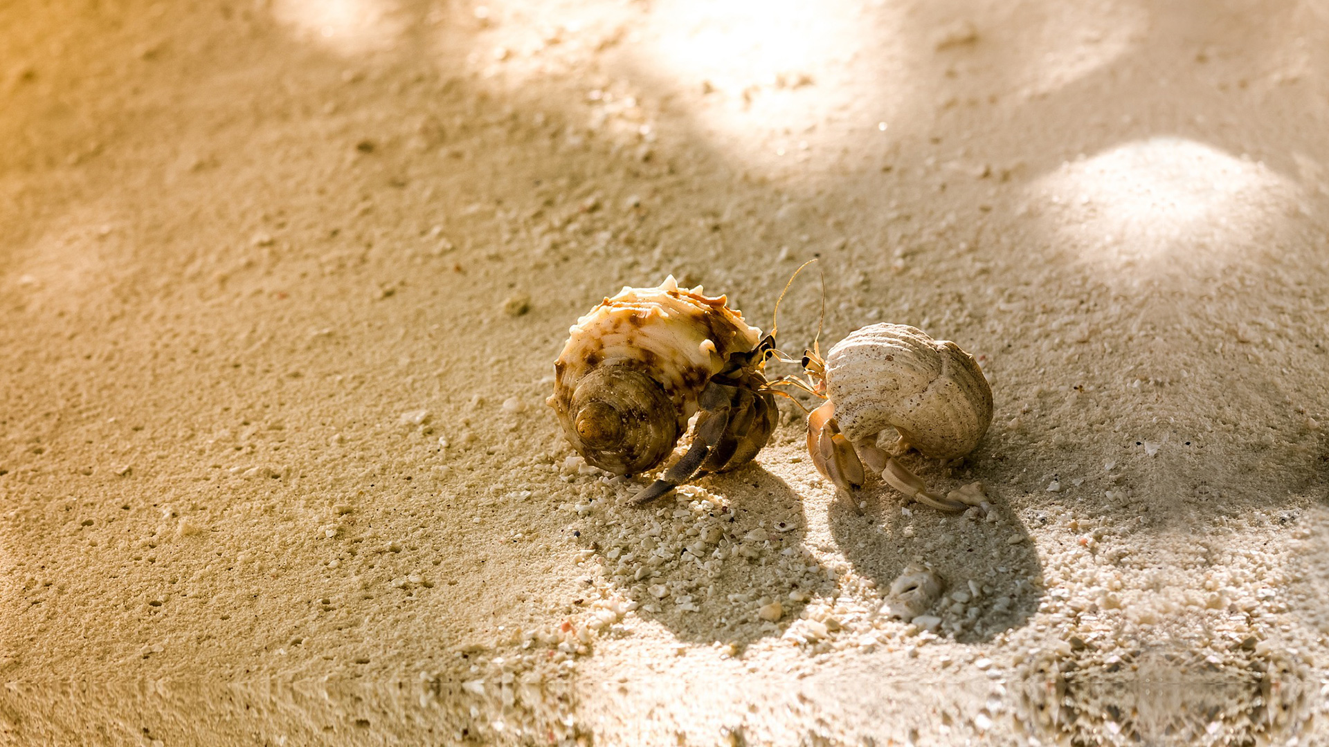 Alle Partner von A-Z