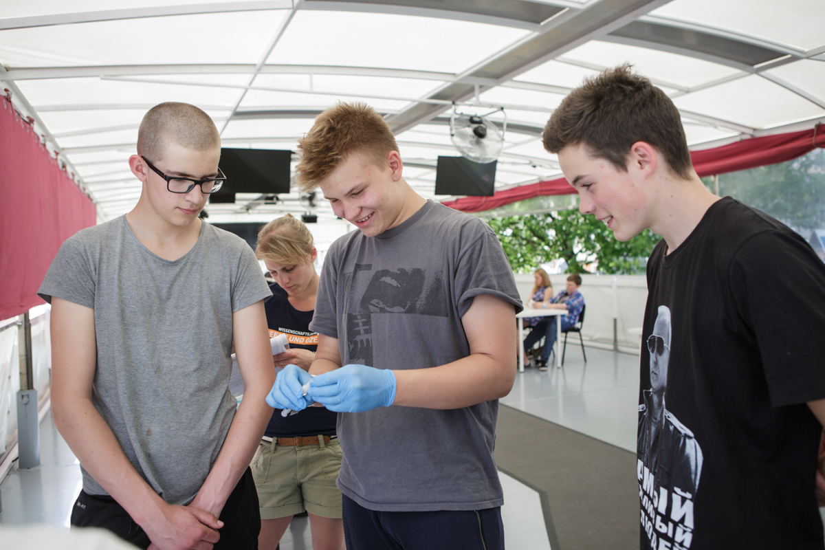 Die Schüler blicken auf den Filter mit den Mikroorganismen.