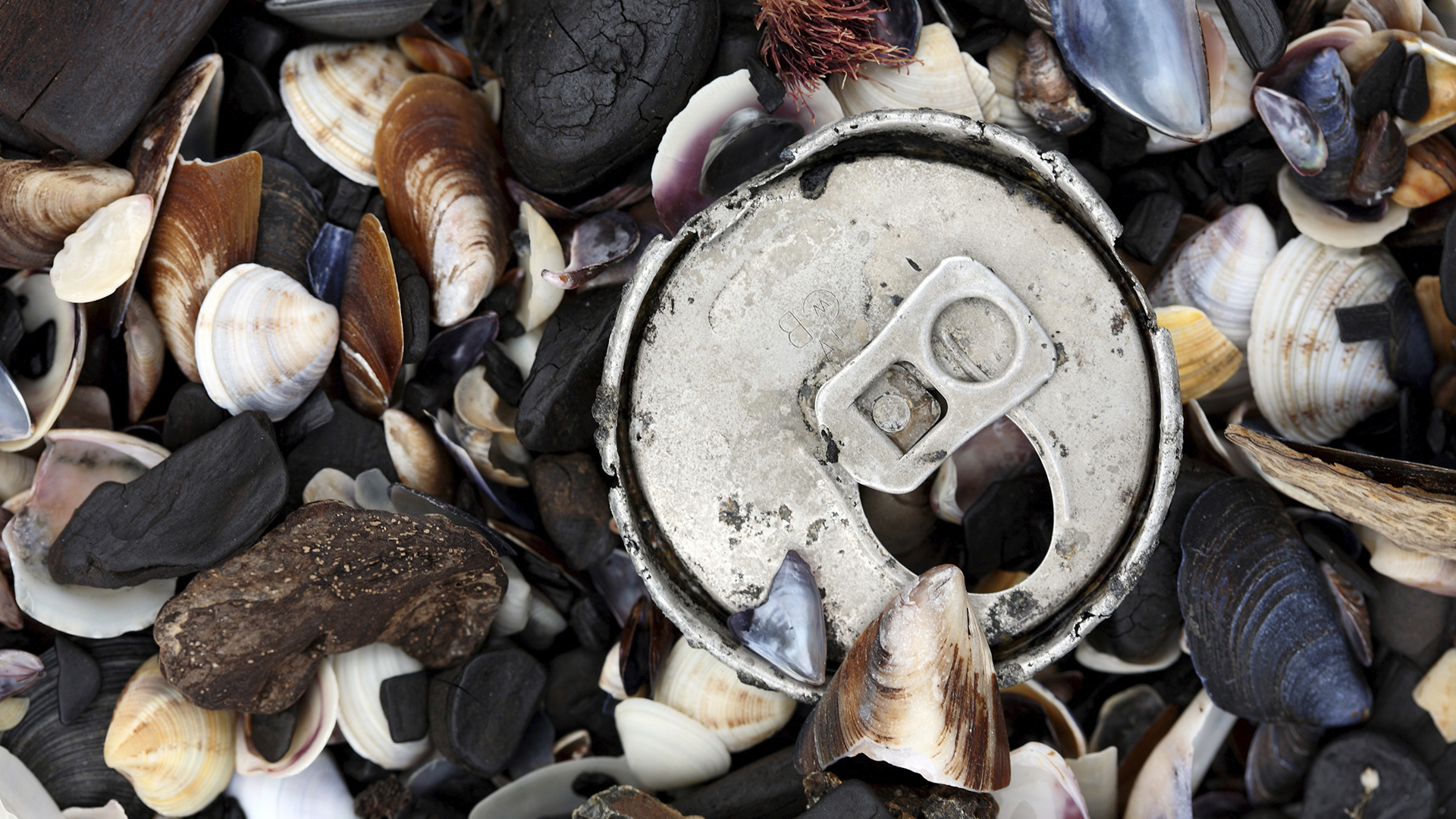 Müllmenge in der arktischen Tiefsee steigt stark an