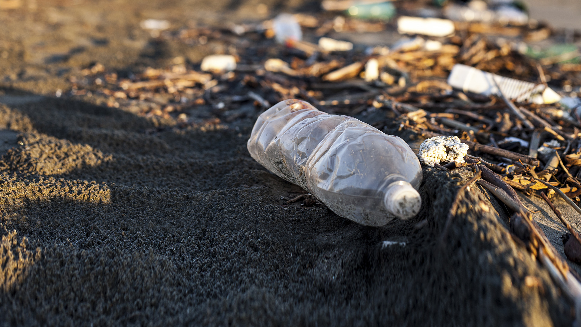 Hohe Schadstoffbelastung durch Plastik-Giftcocktails im Sediment