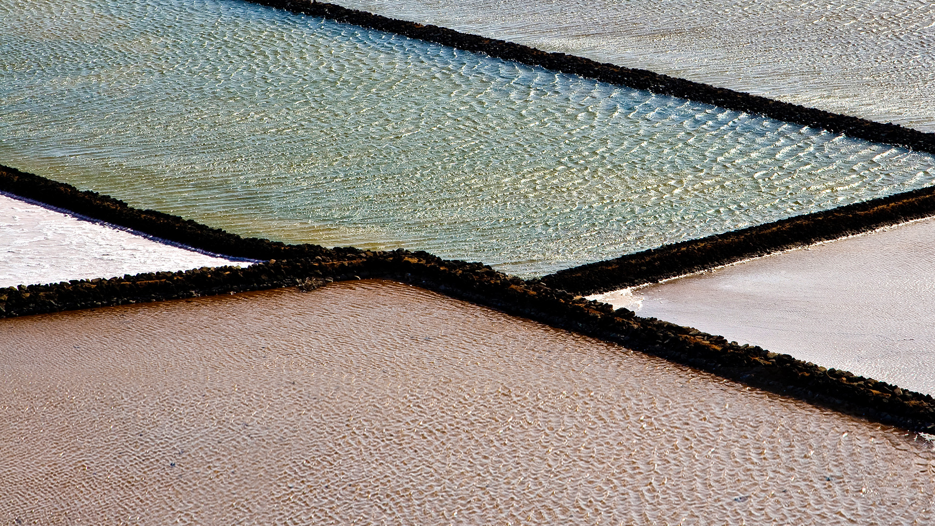 Gewinner des Hochschulwettbewerbs stehen fest