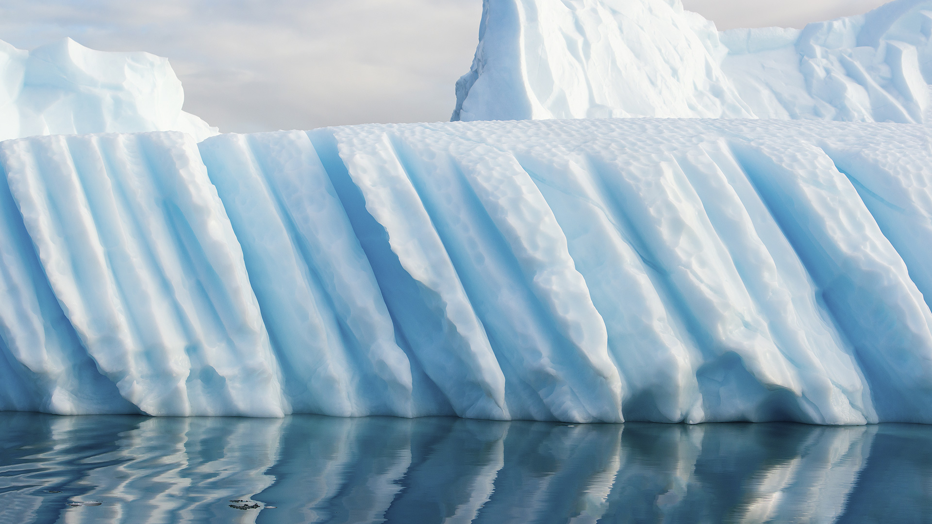 Meterdicker Eiscocktail unter dem Meereis der Antarktis
