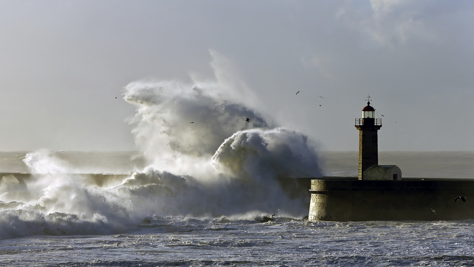 Rostbomben in der Ostsee – Umweltmonitoring der Munitionsaltlasten