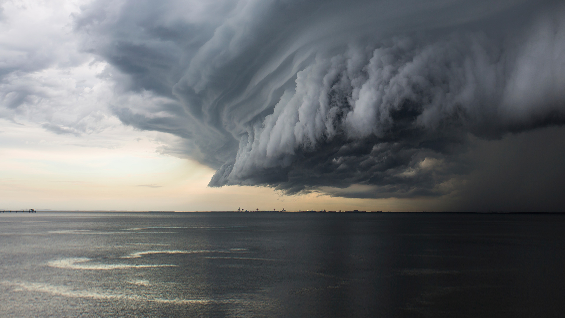 Einzeller trotzen dem Klimawandel