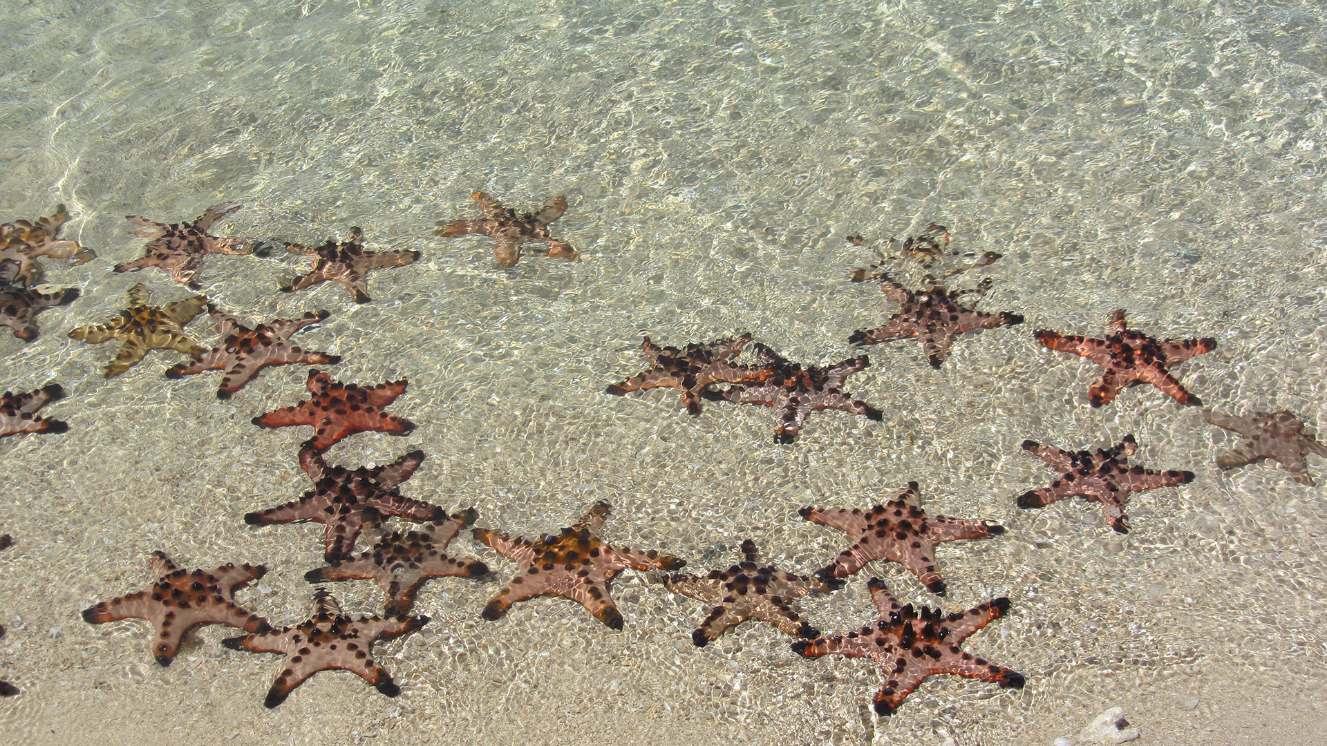 125 Jahre Meeresforschung Helgoland