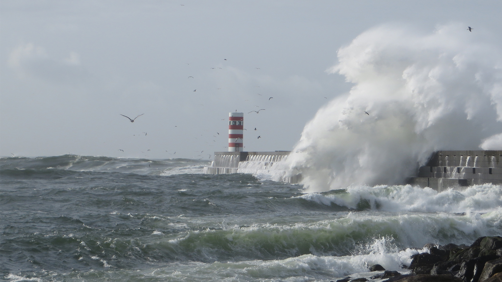Langsam aber gewaltig -