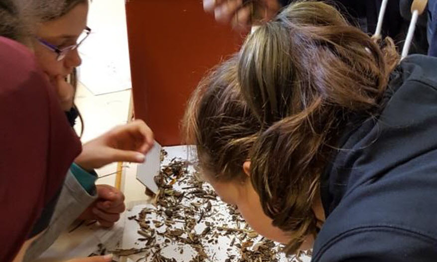 E-Team der Geschwister-Scholl-Schule Heidelberg