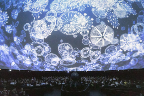 Vorschaubild zur Detailansicht der Veranstaltung: COP 23 – „Die Wirbeljagd“