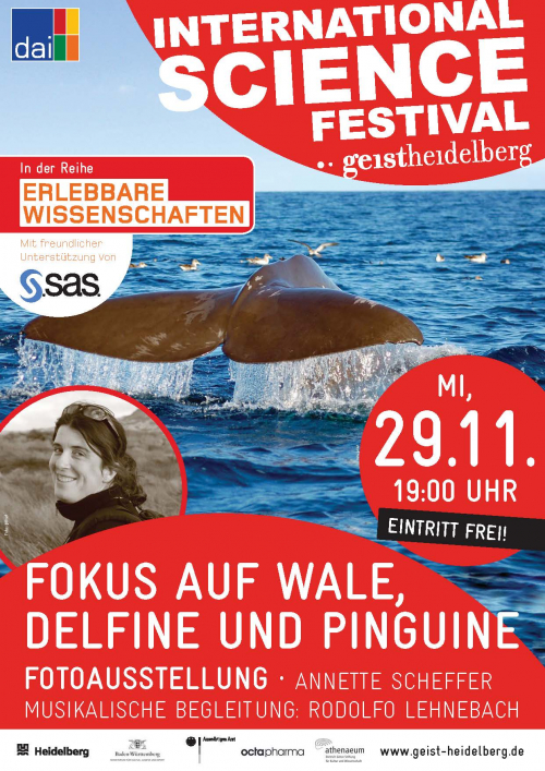 Vorschaubild zur Detailansicht der Veranstaltung: Fotoausstellung "Fokus auf Wale, Delfine und Pinguine"
