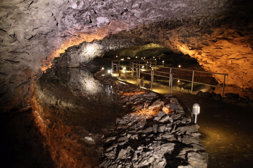 Vorschaubild zur Detailansicht der Veranstaltung: Darf’s ein bisschen Meer sein? Natur und Umweltsituation der Meere und das Zechstein-Meer am Kyffhäuser