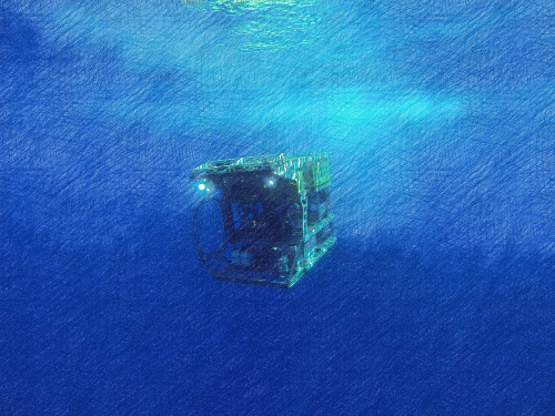 Vorschaubild zur Detailansicht der Veranstaltung: Wissenschaft kontrovers: Schatzkammer Tiefsee - Rohstoffe vom Meeresgrund: Abbau versus Umweltschutz