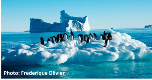 Vorschaubild zur Detailansicht der Veranstaltung: Ozean und Klimawandel: Vergangenheit, Gegenwart und Zukunft