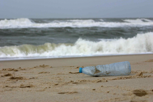 Vorschaubild zur Detailansicht der Veranstaltung: "So vertraut und doch so fremd: unser Müll in den Ozeanen"
