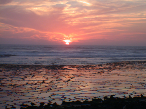 Vorschaubild zur Detailansicht der Veranstaltung: Der Naturdünger im Meer: Stickstofffixierung als wesentliche Quelle von lebenswichtigem Nährstoff