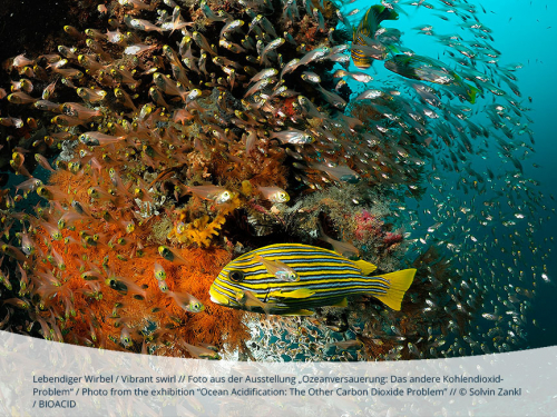 Link zur Veranstaltung - Vorschaubild zur Veranstaltung