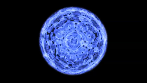 Vorschaubild zur Detailansicht der Veranstaltung: CineMare Int’l Ocean Film Festival: 360° WALGESANG – PRÄSENTIERT VON DER OCEAN MIND FOUNDATION