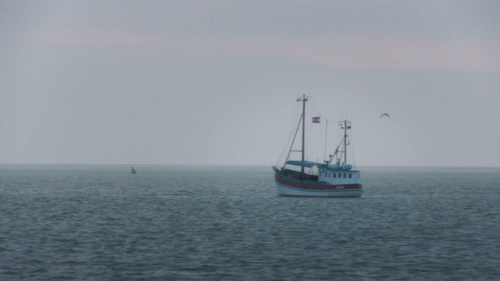 Vorschaubild zur Detailansicht der Veranstaltung: CineMare Int'l Ocean Film Festival: JUGENDUMWELTFILMPREIS