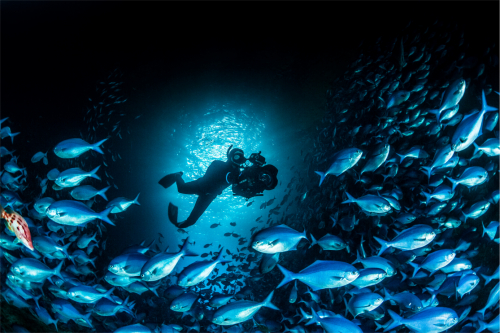 Vorschaubild zur Detailansicht der Veranstaltung: CineMare Int'l Ocean Film Festival: Vortrag: ABENTEUER EXTREM - MISSION: ERDE