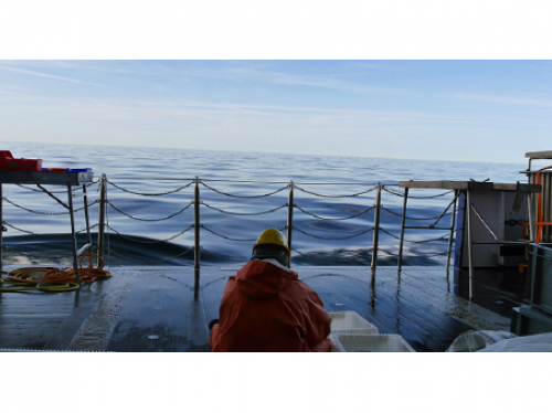 Vorschaubild zur Detailansicht der Veranstaltung: CineMare Int'l Ocean Film Festival: SON SEUL | HYDROPGRAPHIE | VIRTUAL VENTS