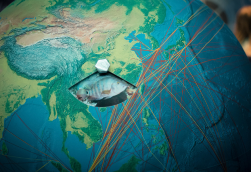 Link zur Veranstaltung - Vorschaubild zur Veranstaltung