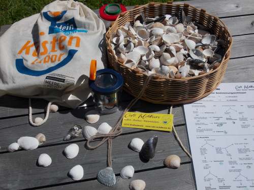 Vorschaubild zur Detailansicht der Veranstaltung: Muschelkettenbasteln beim Grünen Montag im Café Mehlbeere