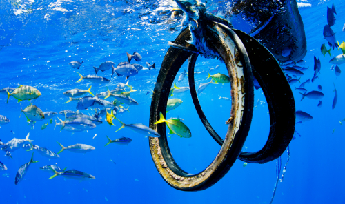 Vorschaubild zur Detailansicht der Veranstaltung: Vortragsreihe „Greenpeace und das Meer“ - Welle machen gegen den Müll im Meer