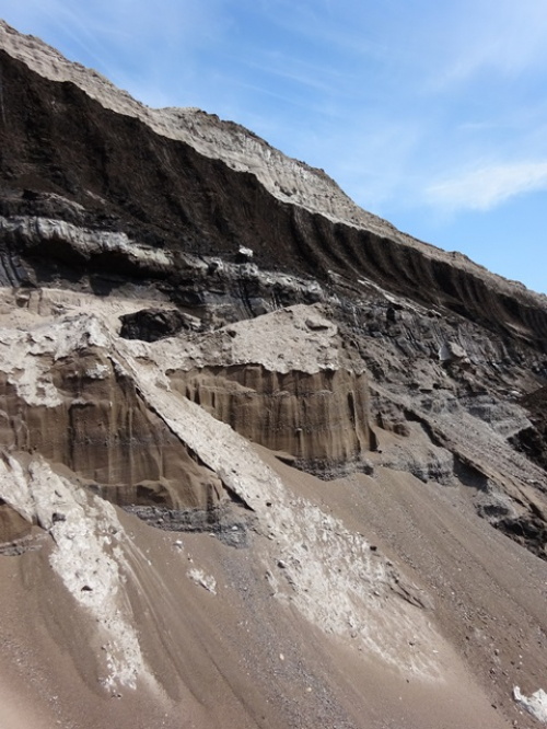 Vorschaubild zur Detailansicht der Veranstaltung: Meere – von der Braunkohlezeit bis heute: Die Entstehung der Braunkohle und aktuelle Probleme des Meeresschutzes