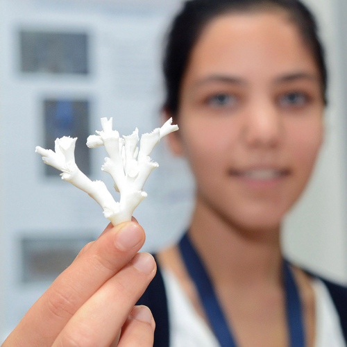 Vorschaubild zur Detailansicht der Veranstaltung: MEERESFORSCHUNG LIVE ERLEBEN!