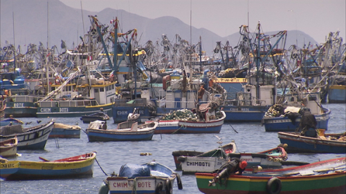 Vorschaubild zur Detailansicht der Veranstaltung: Der letzte Fisch – unsere Meere am Scheideweg