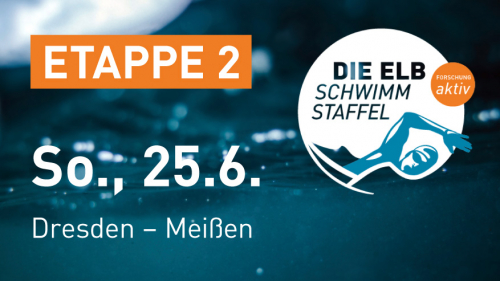 Vorschaubild zur Detailansicht der Veranstaltung: Die Elbschwimmstaffel – Etappe 2: Bad Schandau – Dresden