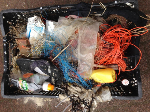 Vorschaubild zur Detailansicht der Veranstaltung: Mit hölzerner Flaschenpost gegen Plastikmüll im Ozean