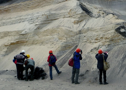 Vorschaubild zur Detailansicht der Veranstaltung: Darf’s ein bisschen Meer sein? Die Meere und wir – in Erdgeschichte und Gegenwart. Natur und Umweltsituation der Meere
