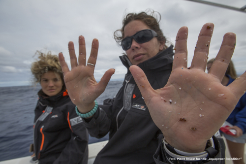 Link zur Veranstaltung - Vorschaubild zur Veranstaltung