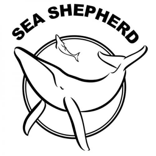 Vorschaubild zur Detailansicht der Veranstaltung: Sea Shepherd BeachCleanUp auf Langeoog