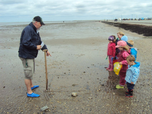 Vorschaubild zur Detailansicht der Veranstaltung: Unsere Nordsee