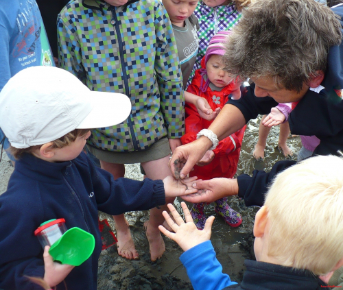 Vorschaubild zur Detailansicht der Veranstaltung: Altenbrucher Strandpiraten