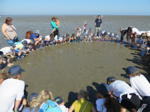 Vorschaubild zur Detailansicht der Veranstaltung: 2. Kids Watt Academy