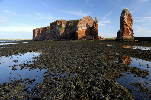 Link zur Veranstaltung - Vorschaubild zur Veranstaltung