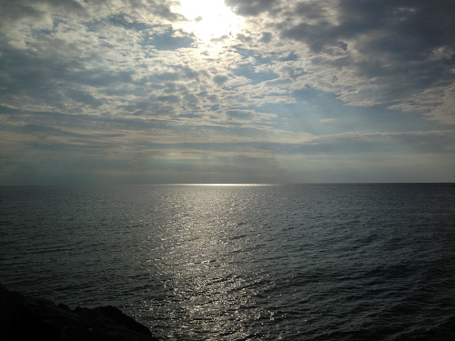 Link zur Veranstaltung - Vorschaubild zur Veranstaltung