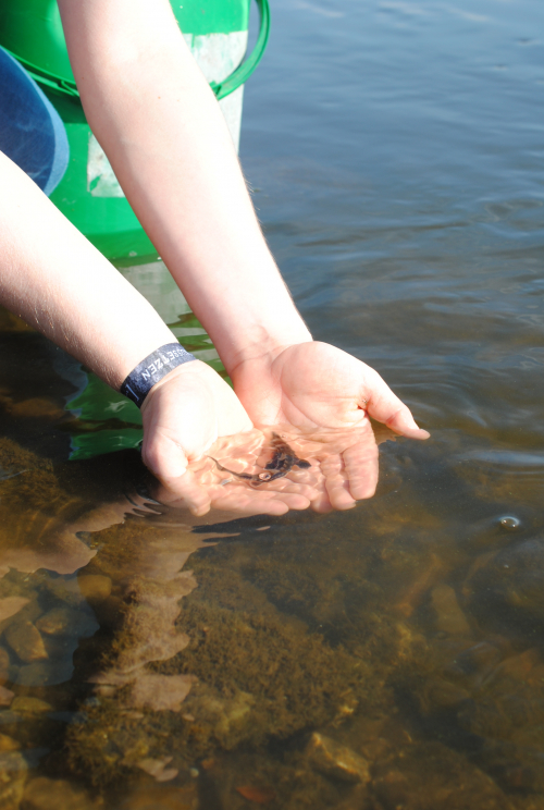 Link zur Veranstaltung - Vorschaubild zur Veranstaltung