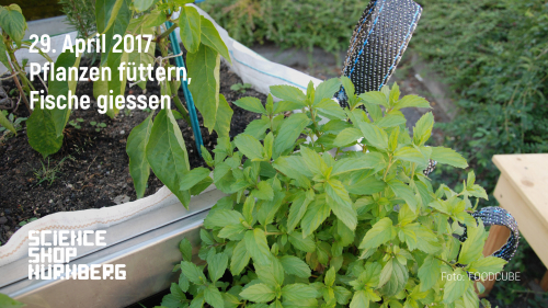 Vorschaubild zur Detailansicht der Veranstaltung: Pflanzen füttern, Fische gießen