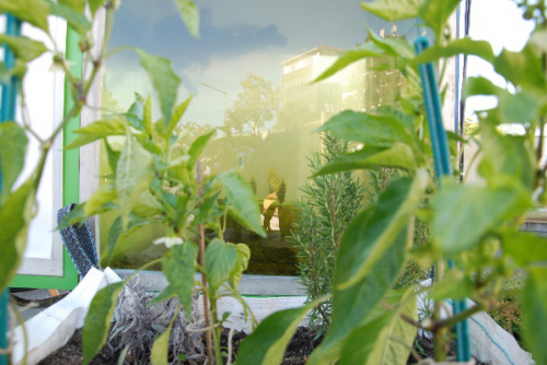 Vorschaubild zur Detailansicht der Veranstaltung: Schutz der Ozeane und Nahrung für die Stadt