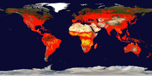 Vorschaubild zur Detailansicht der Veranstaltung: ICBM-Vortragsreihe