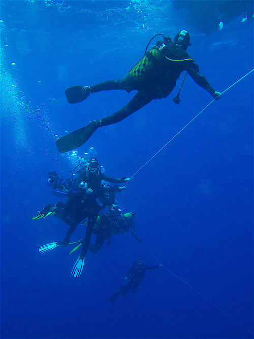 Link zur Veranstaltung - Vorschaubild zur Veranstaltung