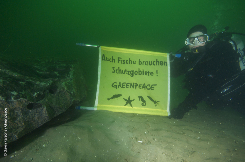 Vorschaubild zur Detailansicht der Veranstaltung: Greenpeace Aktionstage: Welle machen für den Schutz der Meere