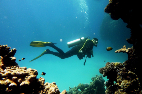 Vorschaubild zur Detailansicht der Veranstaltung: Tauchen - Abenteuer und Entdecken