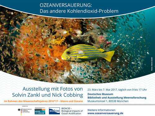 Vorschaubild zur Detailansicht der Veranstaltung: Fotoausstellung: Ozeanversauerung: Das andere Kohlendioxid-Problem
