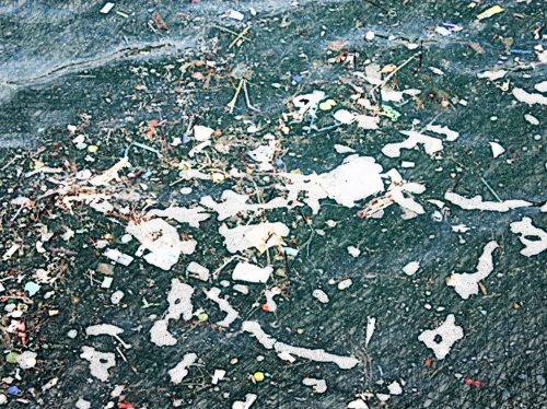 Link zur Veranstaltung - Vorschaubild zur Veranstaltung