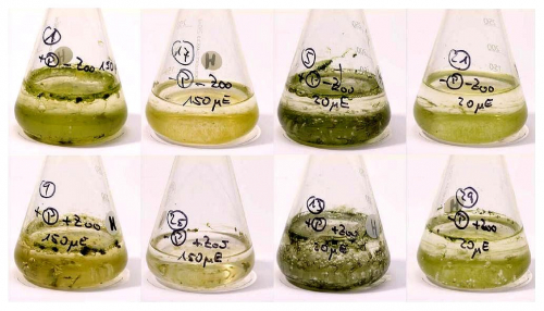 Vorschaubild zur Detailansicht der Veranstaltung: ICBM-Vortragsreihe: Artenvielfalt an der Schnittstelle von Land und Meer